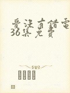 爱没有错电视剧36集免费