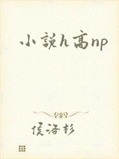 小说h高np封面