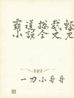 霸道总裁轻点宠小说全文免费阅读