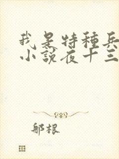 我是特种兵杨洛小说夜十三