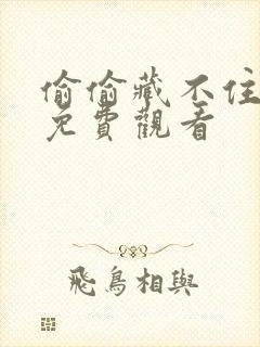 偷偷藏不住6集免费观看封面