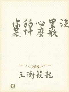 你的心里没有我是什么歌