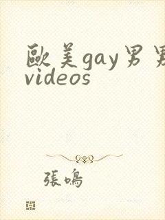 欧美gay男男videos封面