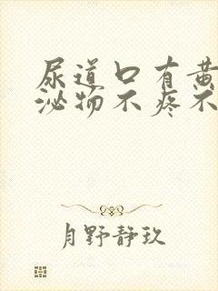 尿道口有黄色分泌物不疼不痒