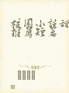 校园小说甜宠文推荐短篇