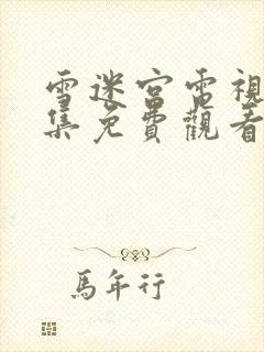 雪迷宫电视剧全集免费观看第九集