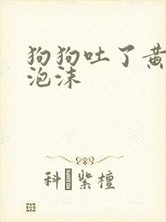 狗狗吐了黄水带泡沫