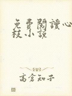 免费阅读心有南枝小说