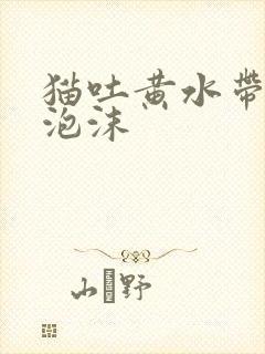 猫吐黄水带白色泡沫