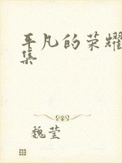 平凡的荣耀13集