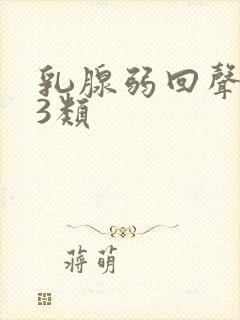 乳腺弱回声结节3类