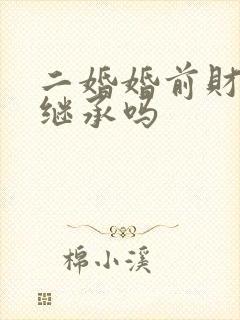 二婚婚前财产能继承吗