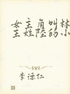 女主角叫林夏男主姓陆的小说封面