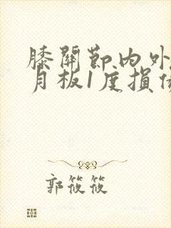 膝关节内外侧半月板1度损伤封面