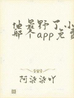 他最野了小说在哪个app免费阅读封面