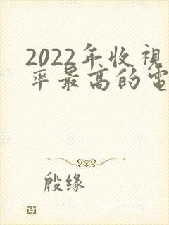 2022年收视率最高的电视剧