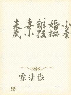 夫妻离婚小孩2岁小孩抚养权归谁