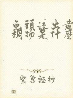 龟头流出黄色粘稠物是什么原因