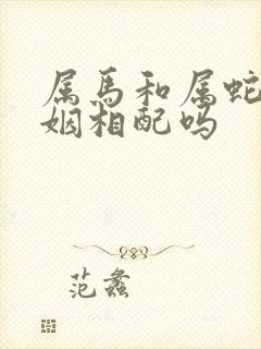 属马和属蛇的婚姻相配吗