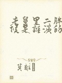 老舅里二胖小时候是谁演的