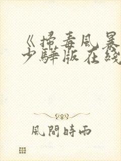 《扫毒风暴》卢少骅版在线观看