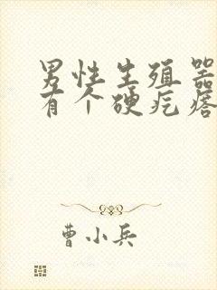 男性生殖器根部有个硬疙瘩