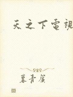 天之下电视剧
