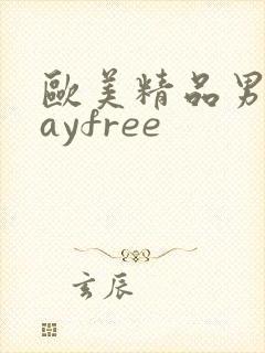 欧美精品男同gayfree