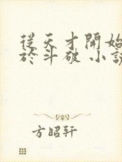 从天才开始无敌于斗破 小说