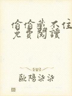 偷偷藏不住完本免费阅读