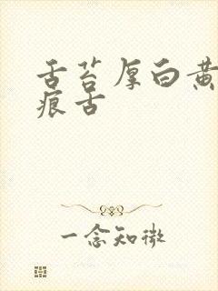 舌苔厚白黄有齿痕舌