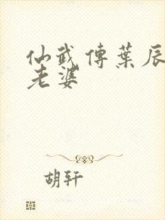 仙武传叶辰几个老婆