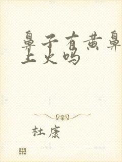 鼻子有黄鼻涕是上火吗