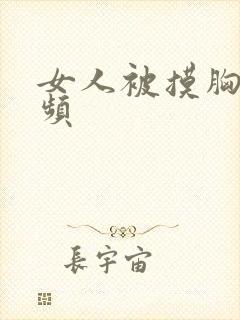 女人被摸胸的视频