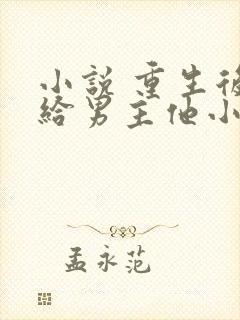 小说 重生后嫁给男主他小叔封面