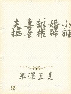 夫妻离婚小孩的抚养权归谁