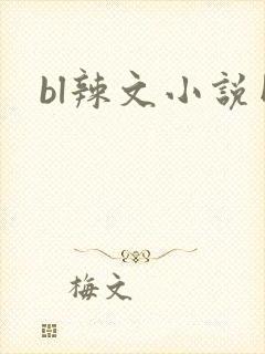 bl辣文小说网