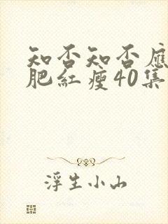 知否知否应是绿肥红瘦40集封面