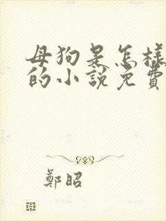 母狗是怎样炼成的小说免费阅读封面