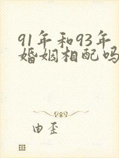 91年和93年婚姻相配吗