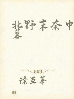 北野末奈中文字幕