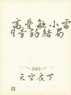 高爱敏小雷第29章的结局