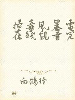 扫毒风暴电视剧在线观看完整版高清