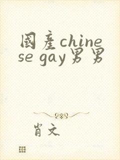 国产chinese gay男男