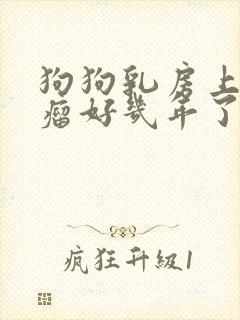 狗狗乳房上有个瘤好几年了