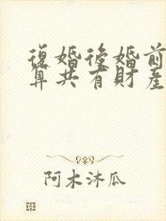 复婚后婚前财产算共有财产吗封面