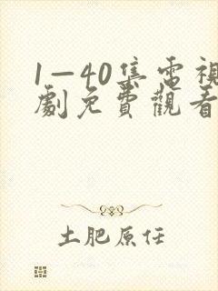 1—40集电视剧免费观看1