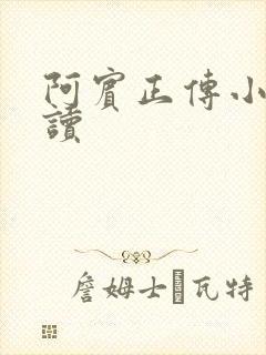 阿宾正传小说在读