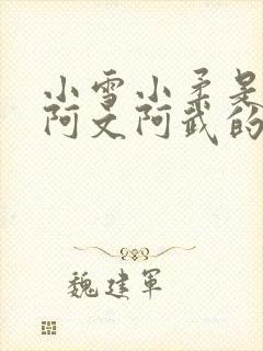 小雪小柔是校花阿文阿武的小说