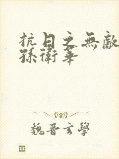 抗日之无敌战兵孙卫华封面